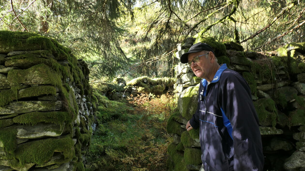 Man standing next to old dry stone walls in a forest.