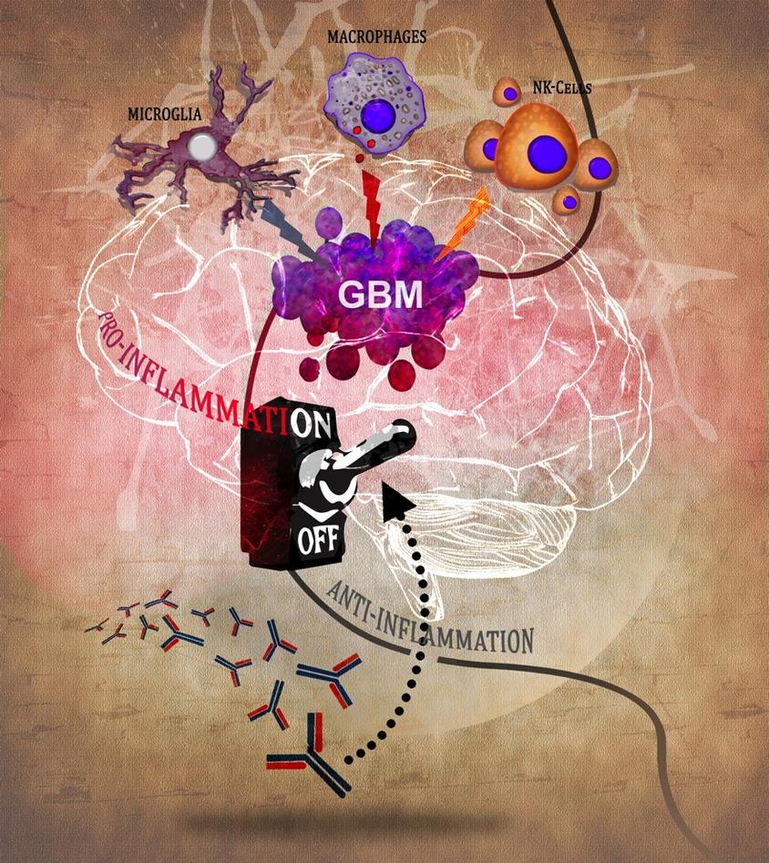 CSPG4 expression in GBM patients