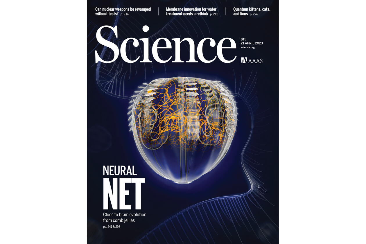 Cover of Science Journal