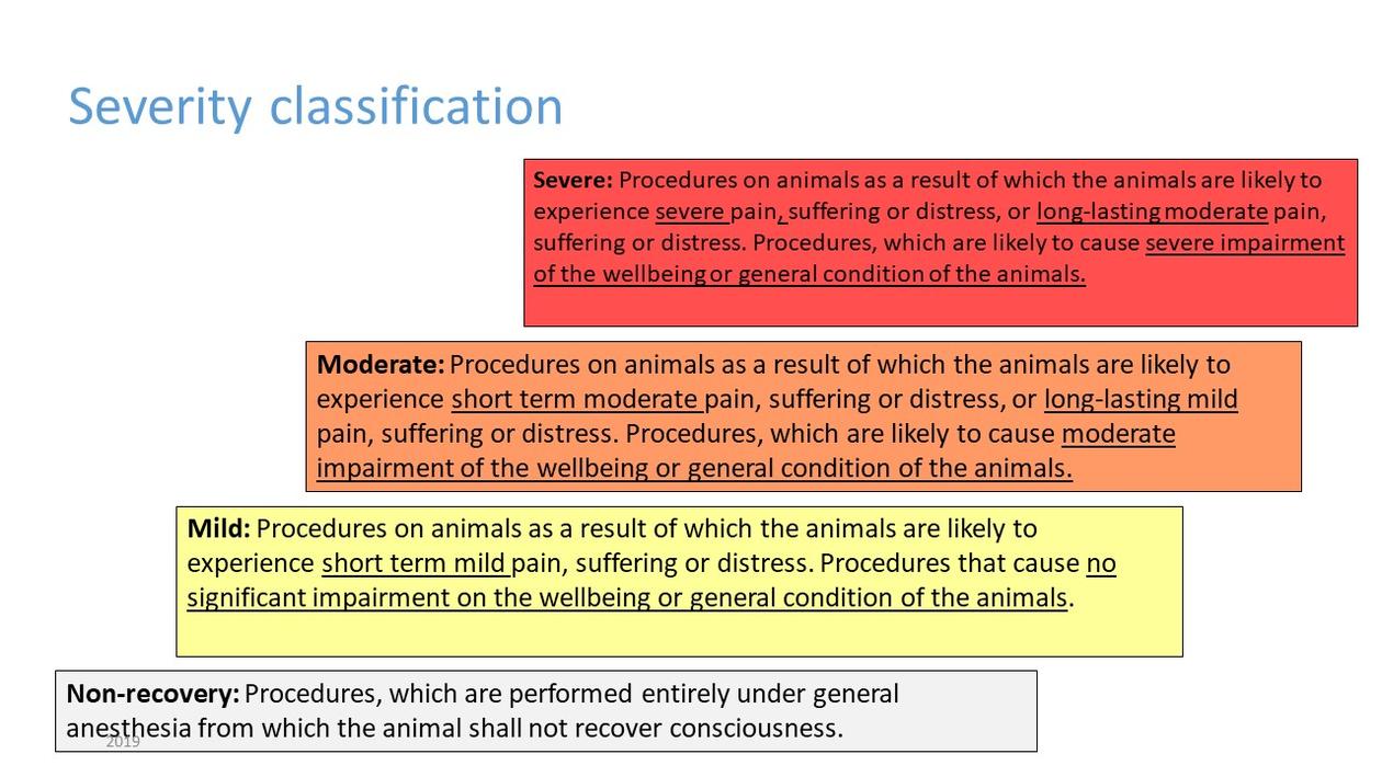 animal experiments severity