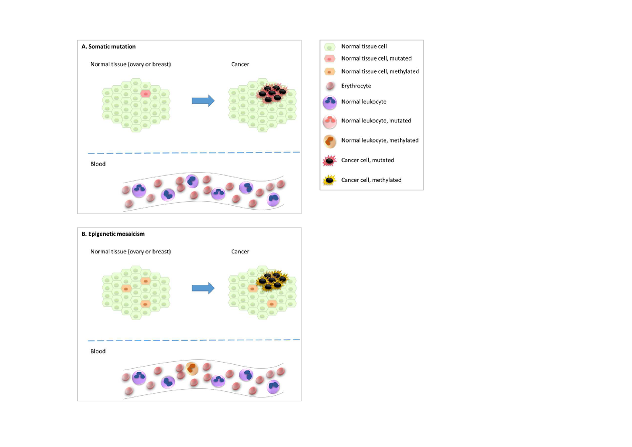 Somatic mutation