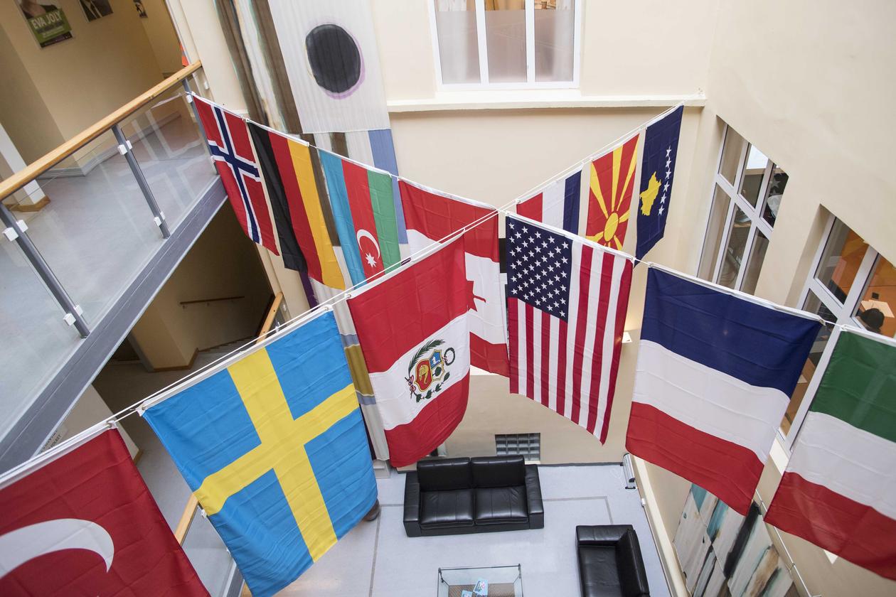 14 flags at the Department of Comparative Politics