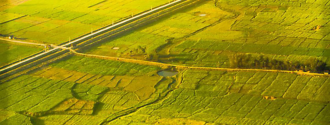 Field in Madhesh region in Nepal