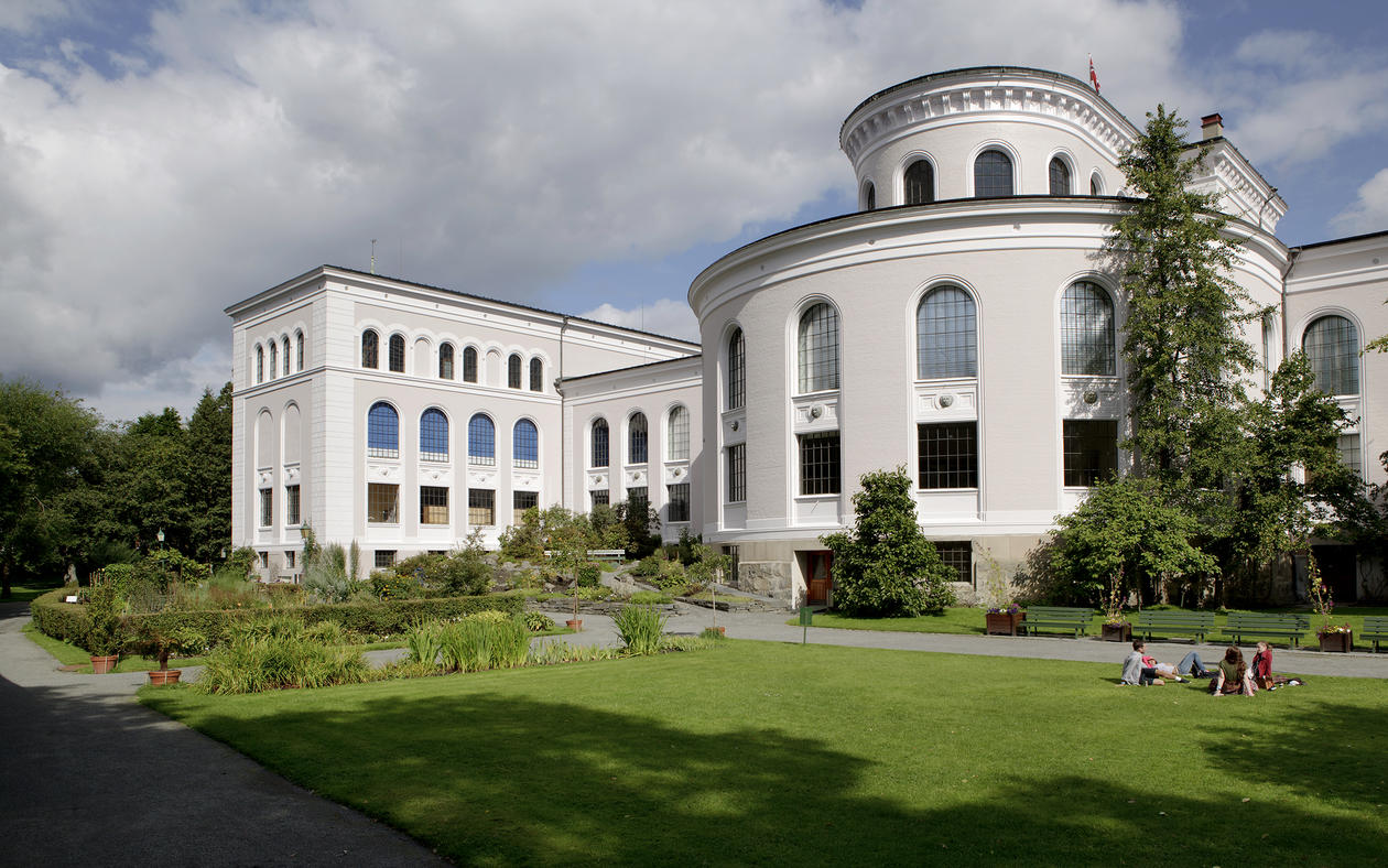 Bergen University In Norway Invites Application For Vacant (48) PhD,