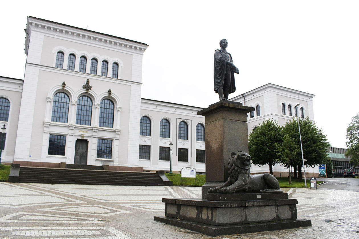 Universitetsmuseet