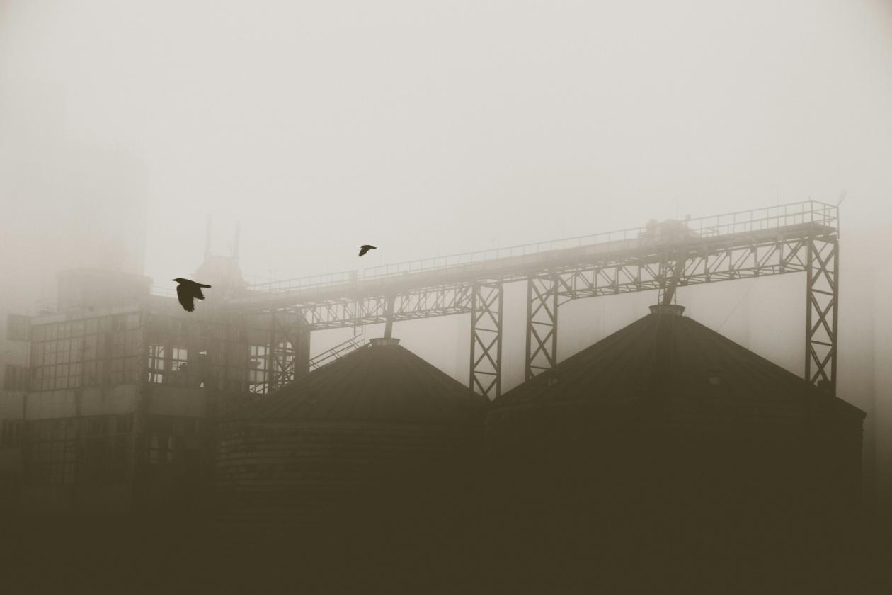 Picture shows birds flying infront of a misty construction site. 