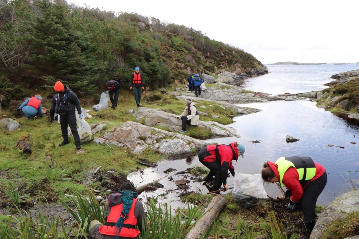 Plastrydding på Lisle Lyngøy