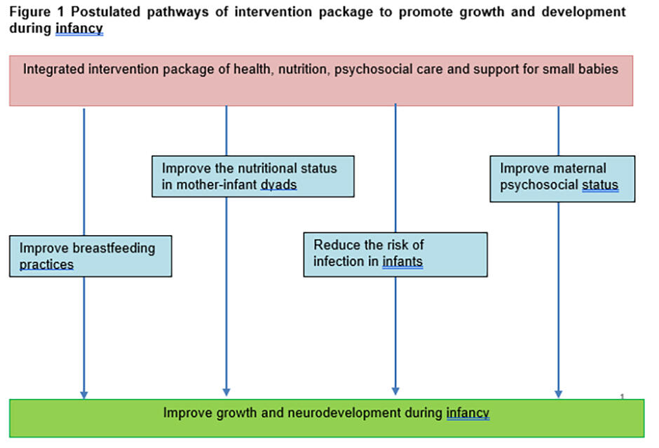 Illustration of postulated pathways of intervention package to promote growth and development during infancy