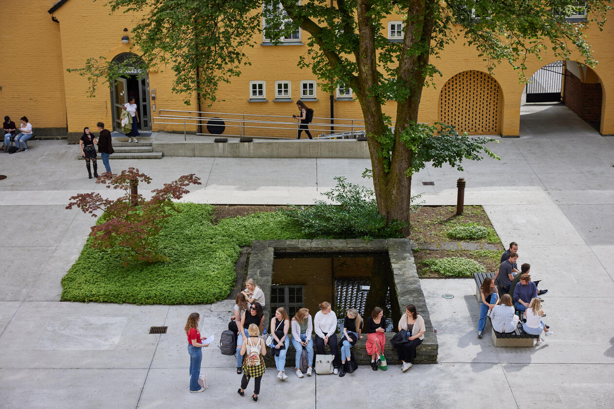 Studenter i Borggården på Sydnehaugen skole