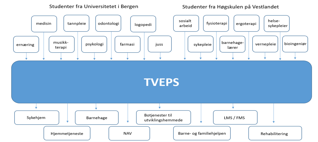 TVEPS organisation 