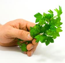 Bringebærblader er en type urte man bør styre unna om man tidligere har tatt...