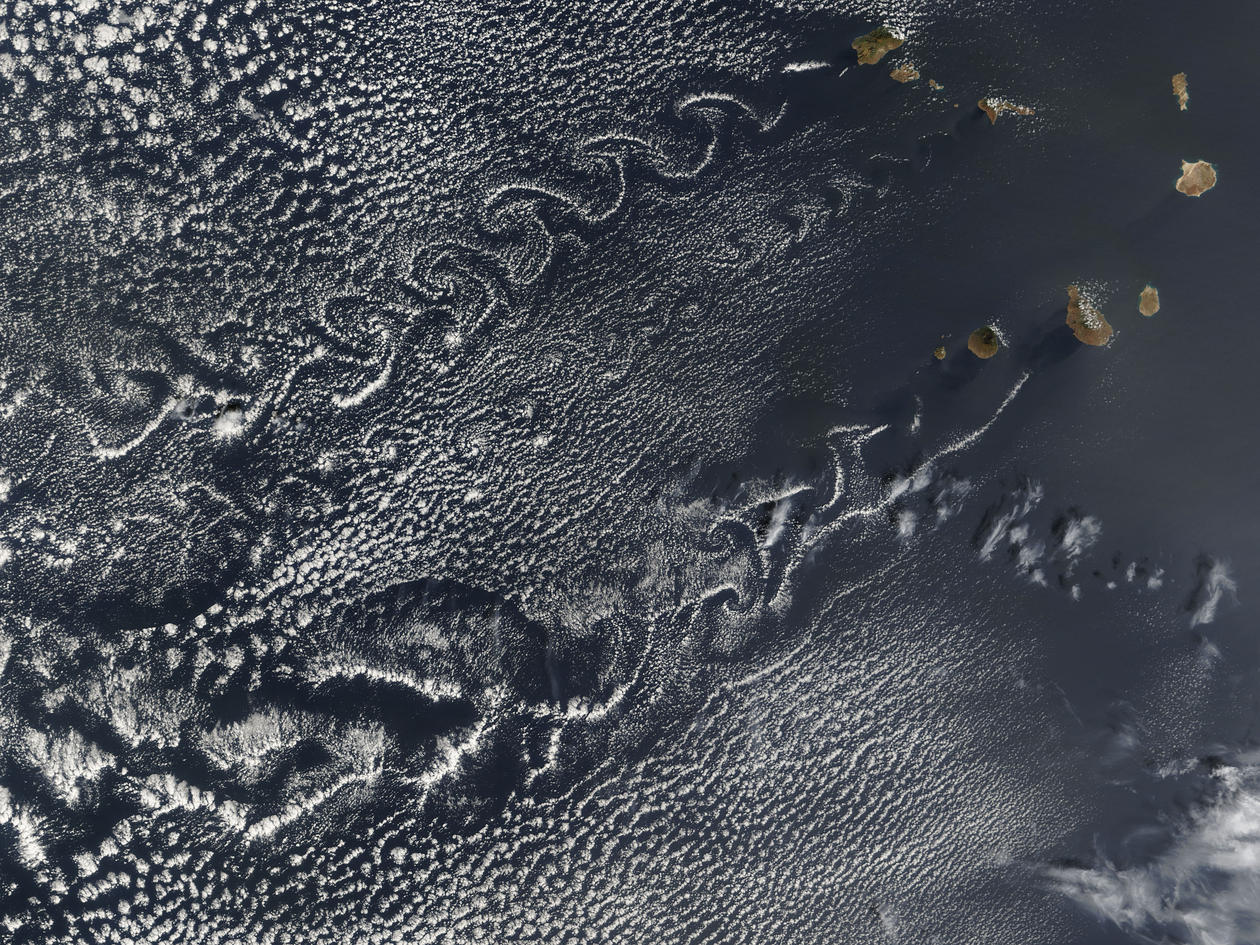 Cloud vortex streets off the Cape Verde Islands, Terra MODIS image from 5...