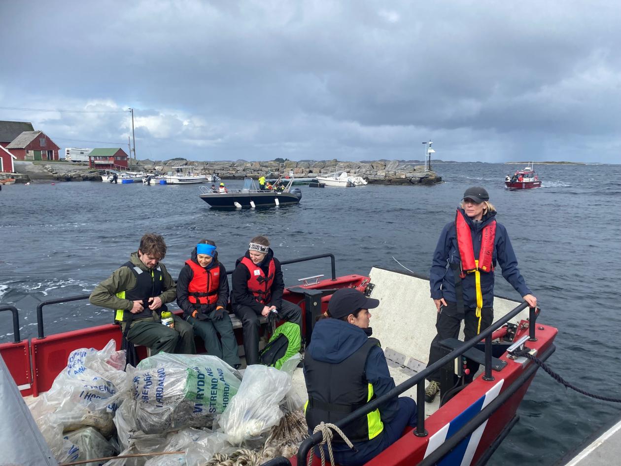 Plastrydding på Lisle Lyngøy