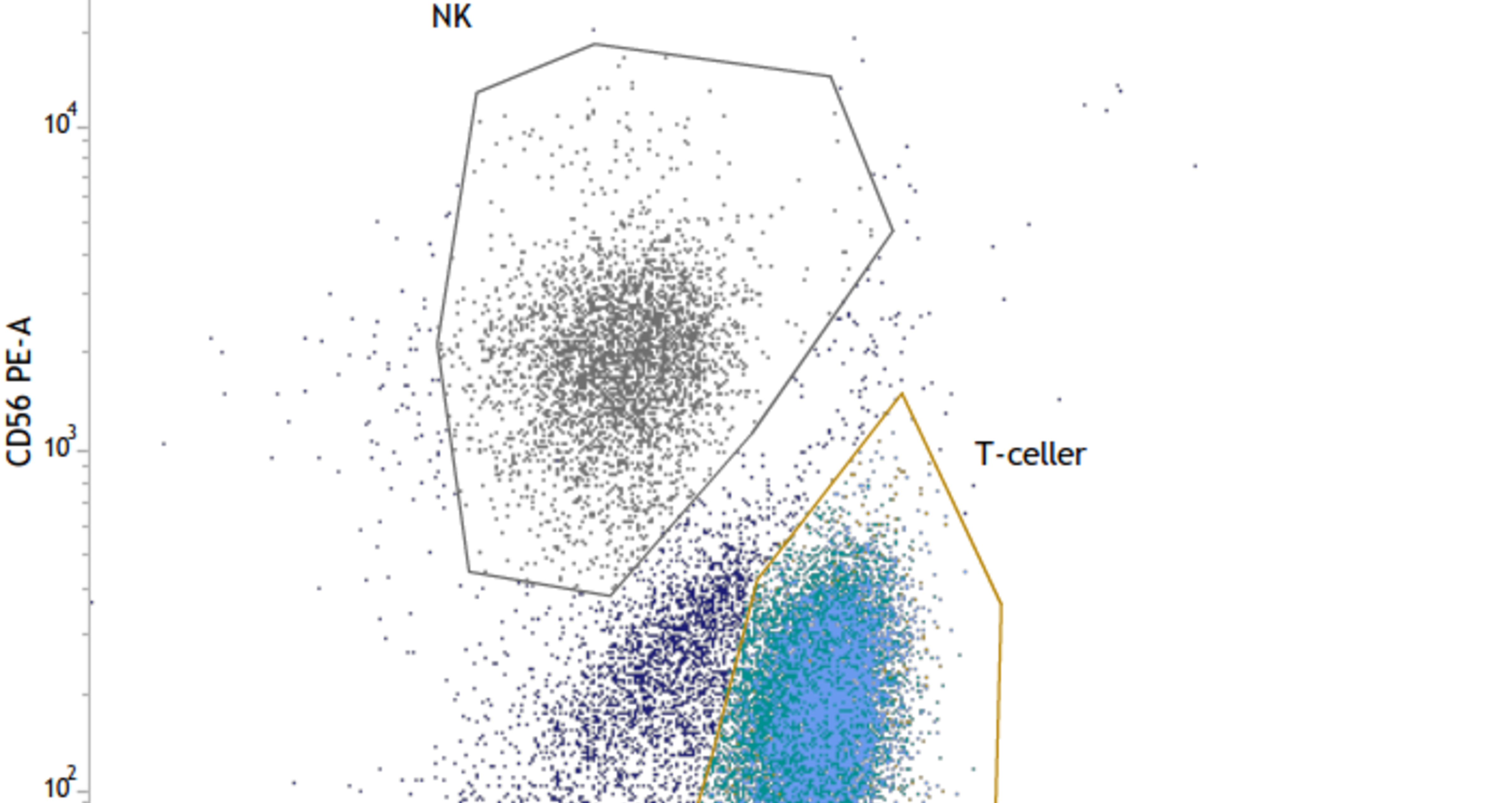 flowcytometri