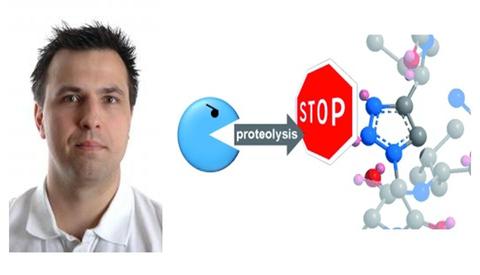 Adnan Budnjo's thesis "Synthesis of serine protease inhibitors".