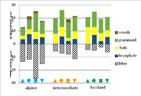 Graph showing the above-ground biomass of four plant groups plus littter biomass along temperature and precipitation gradients