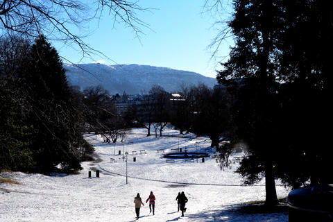 BRRRRRR: Kulden til tross, Nygårdsparken like ved målestasjonen i Bergen har noen besøkende.