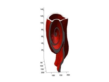 Reconstructed object from a real industrial CT scan