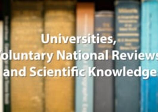 Universities, Voluntary National Reviews, and Scientific Knowledge