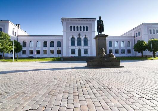 Universitetsstyremøte 28. november 2024