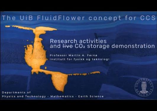 The UiB FluidFlower concept for CCS   research activities and live CO2 storage demonstration  202503