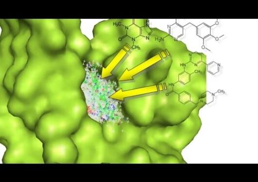 Webinar: structure-based design of riboswitch and kinase ligands