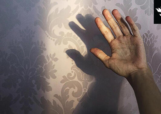 A hand in front of a wallpaper background