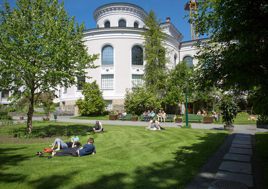 University Museum Gardens