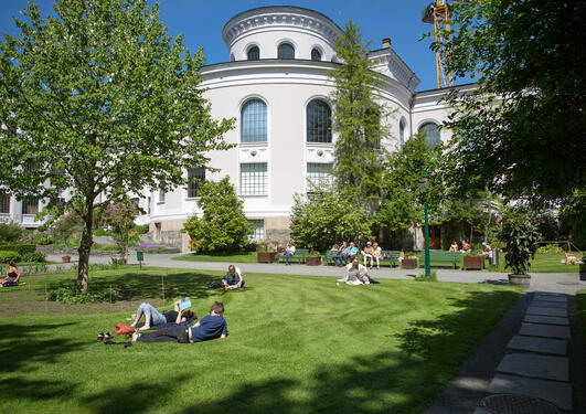 University Museum Gardens