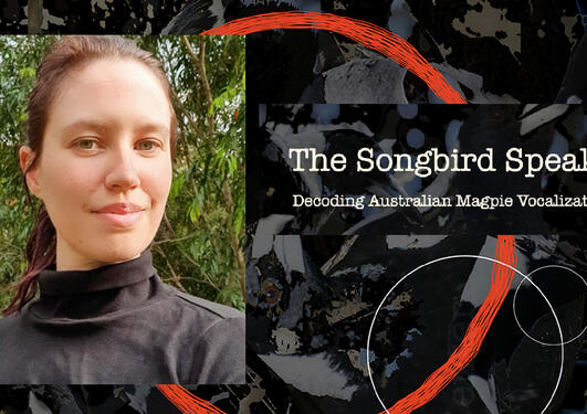 Alinta Krauth – text: "The Songbird Speaks. Decoding Magpie Vocalizations with AI"