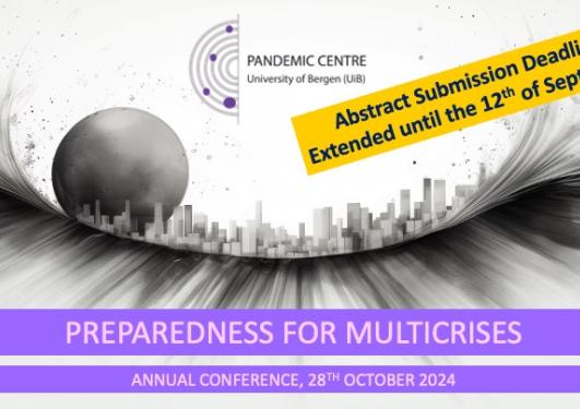 Preparedness for Multicrises 