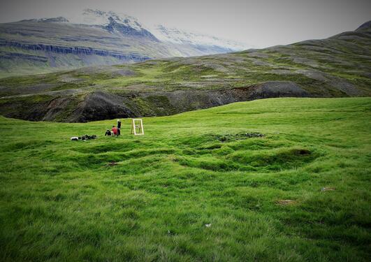 Landscape: animals and archeologists in the mountains.