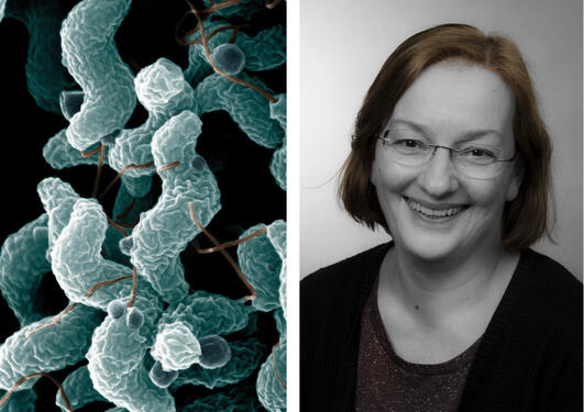 Nina Langeland og bakterier