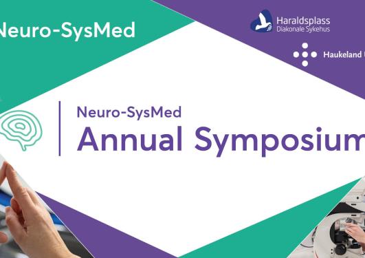 Logo for Neuro-SysMed Annual Symposium