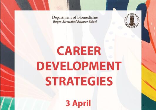 Plakat Career Development Strategies