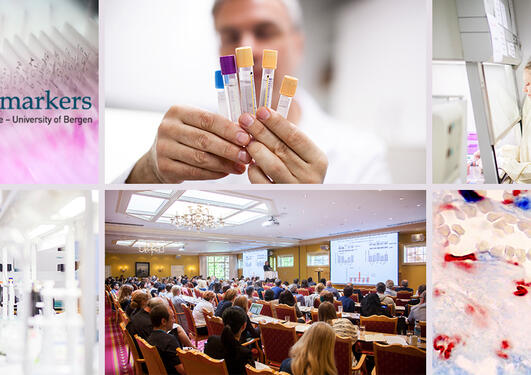 Collage of photos from CCBIO situations; research, teaching, symposia.