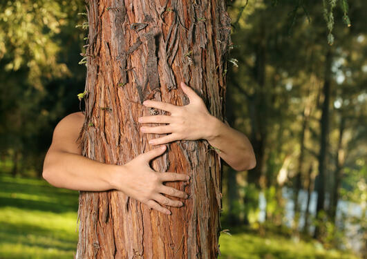 Arms hugging tree