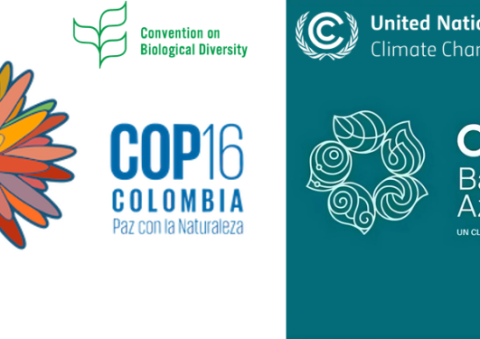 COP16COP29