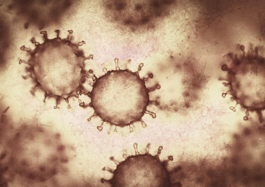 Koronavirus.
