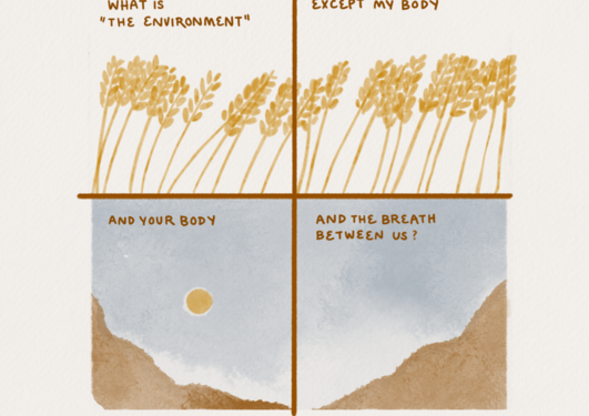 lllustrations in yellow, orange and blue-grey of grain ears, the sky, the sun and mountains, and the text: "What is 'the environment? Except my body. And your body. And the breath between us?" 