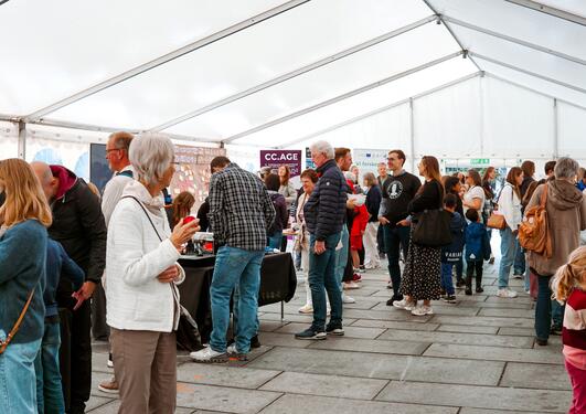 Bilde av Forskingstorget på Festplassen. SEFAS sin stand kan sees fra avstand. 