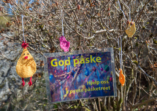 Påskelyllingene inntar Blondehushagen