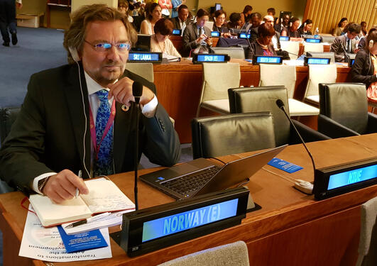 Professor Edvard Hviding from the University of Bergen's SDG Bergen initiative at the High-level Political Forum 2018 iat the United Nations in New York City, in July 2018.