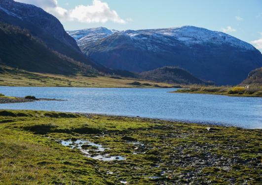 Norwegian nature in Voss