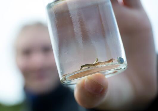 University of Bergen student showing up specimen found during field work on Norway's western coast.