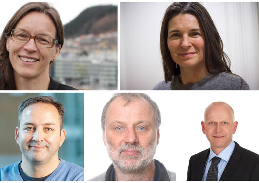 Portretter av fem forskere som har fått forskningsmidler