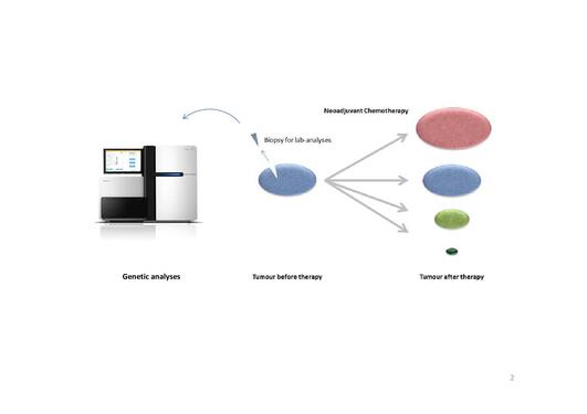 Genetic analyses process