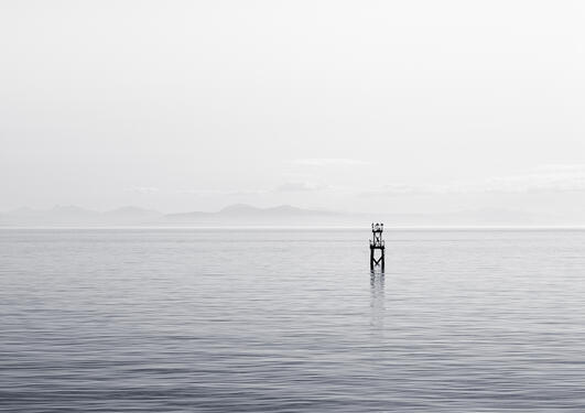 bergen marine forskningsklynge