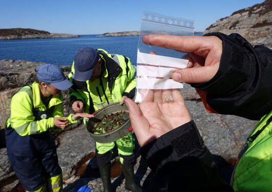 Arkeologisk feltarbeid på Hjartøyna i Øygarden