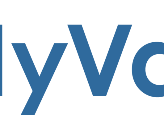 Image showing HyValue's logo